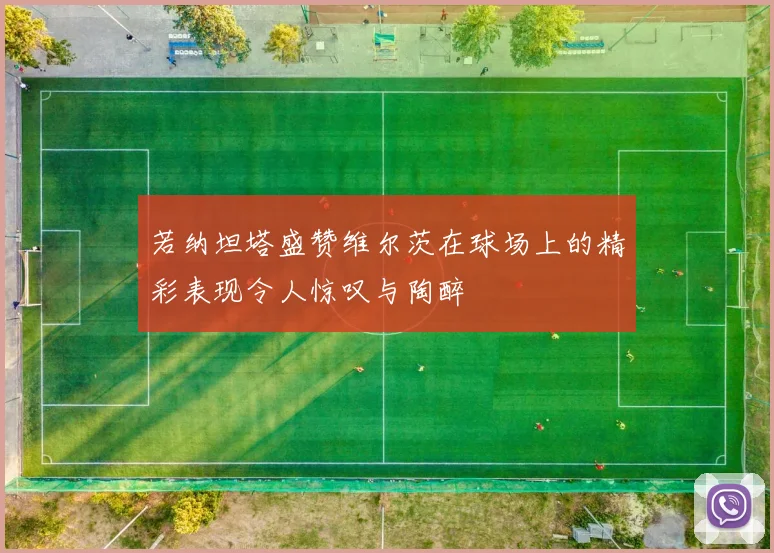 若纳坦塔盛赞维尔茨在球场上的精彩表现令人惊叹与陶醉